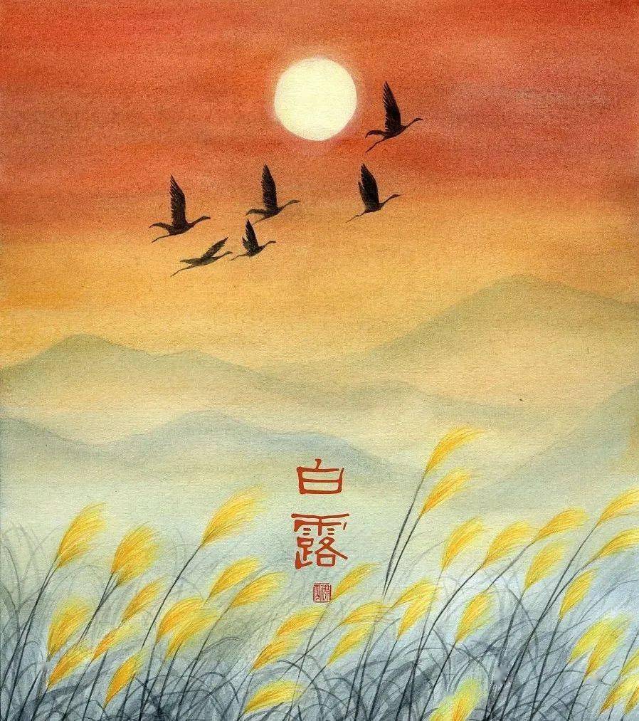 露从今夜白月是故乡明