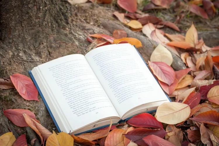 坐飞机的学习方法 乘坐飞机教程视频 坐飞机的学习方法 乘坐飞机教程视频