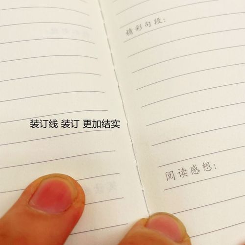 重阳节日记300字左右 重阳节日记300字左右