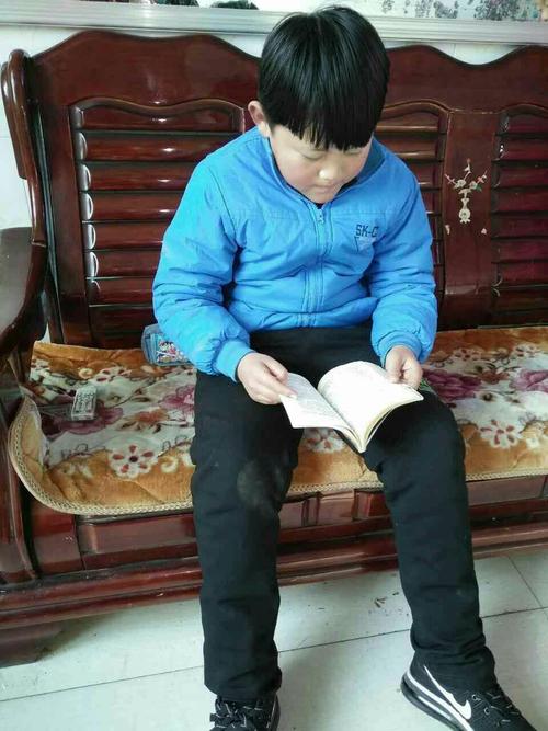 描写春天的古诗句一年级90句精选 描写春天的古诗句一年级90句精选