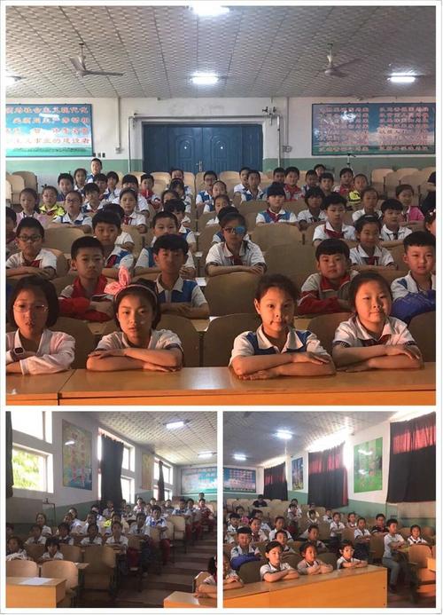 申请英国圣玛丽大学学院硕士有何要求? 申请英国圣玛丽大学学院硕士有何要求?