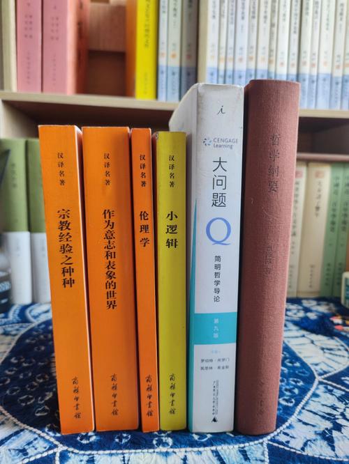 2025���п��������Կ�ǰ������ע������