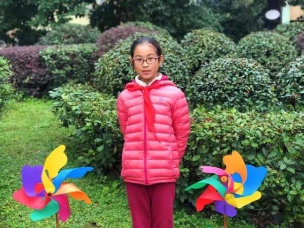 解密中华龙鸟奥秘 化石可证其长羽毛 解密中华龙鸟奥秘 化石可证其长羽毛