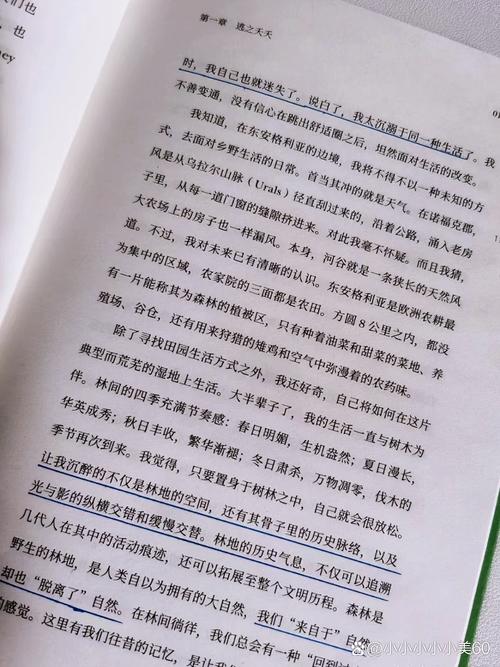 写一篇关于春节的作文300字 写一篇关于春节的作文300字