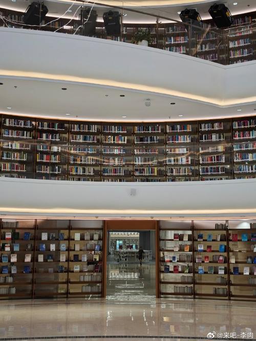 ����2019�п���ѧ��ѧ��ҵ��