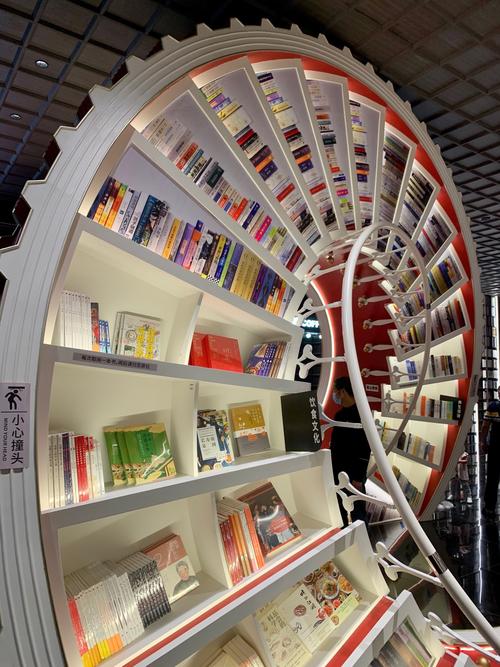 三年级一次有趣的实验作文300字 三年级一次有趣的实验作文300字