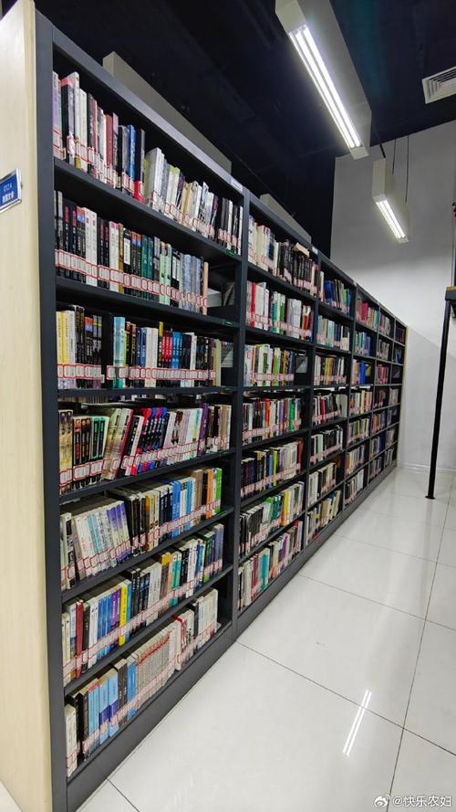 ����˵˵������