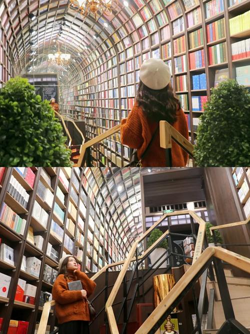 ס������θ�Чѧϰ����