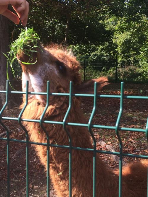 梦到手沾油污_梦中手触脏油物品 梦到手沾油污_梦中手触脏油物品