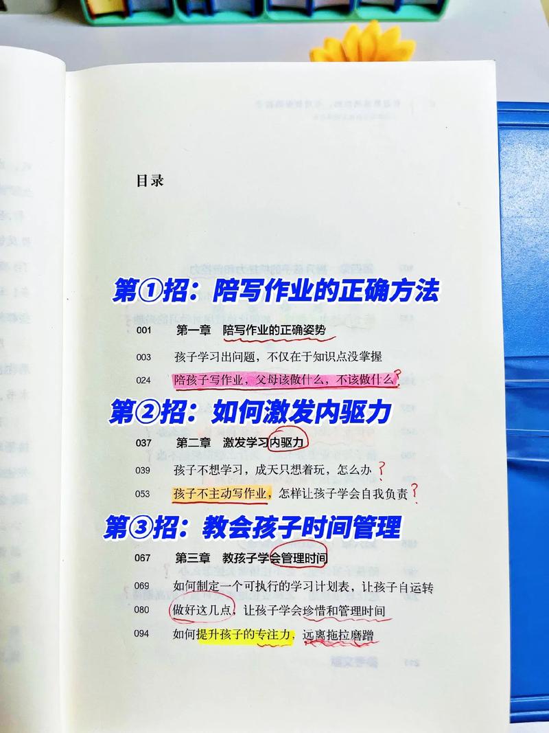 2025年初中函数之反比例函数 2025年初中函数之反比例函数