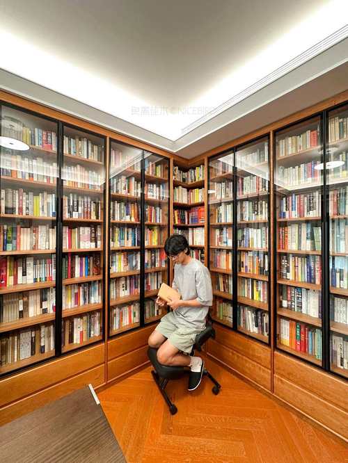 双重否定句的学习方法 双重否定句的学习方法