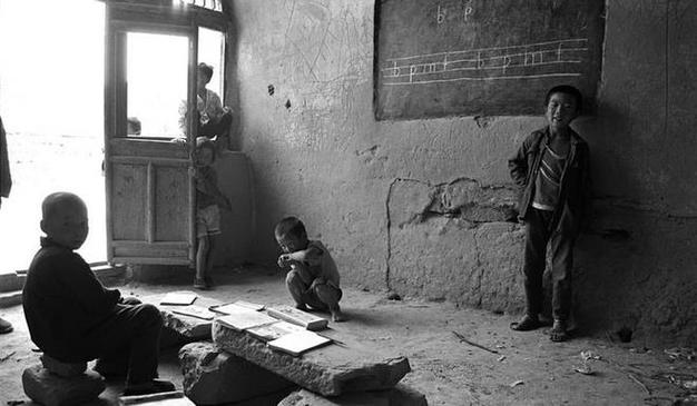 海燕的宣言对海鸥海鸭企鹅 海燕的宣言对海鸥海鸭企鹅