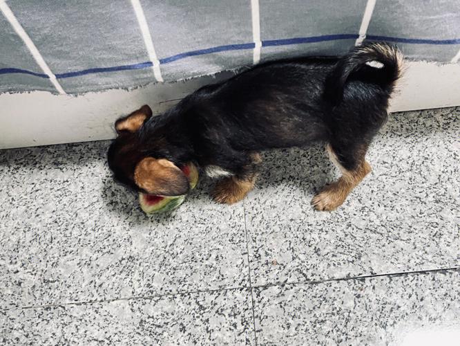 ѧϰ����653��ɶ��˼