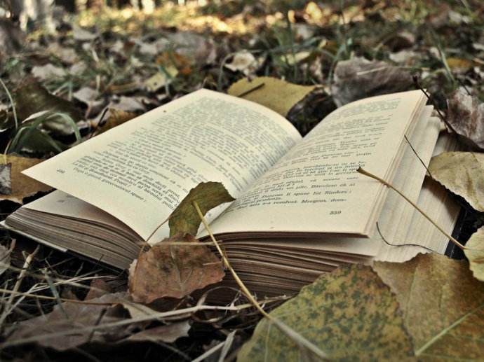 田曦薇的胸罩尺寸是多少 田曦薇的胸罩尺寸是多少