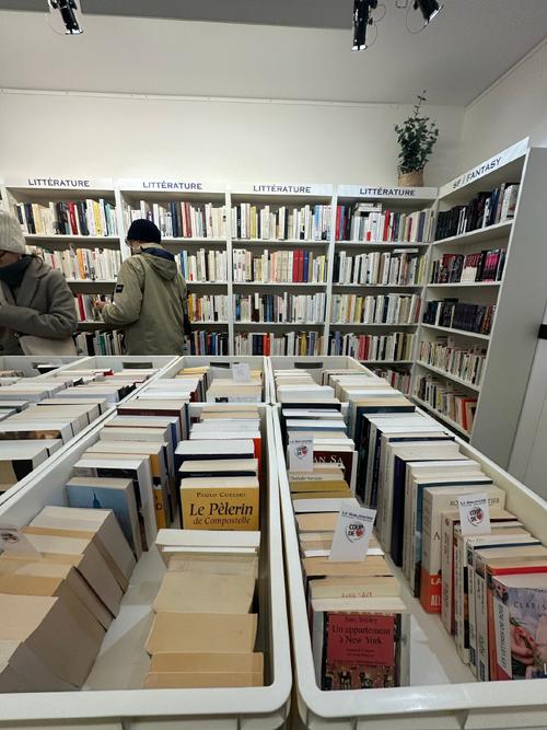 可爱的熊猫作文300字三年级 可爱的熊猫作文300字三年级