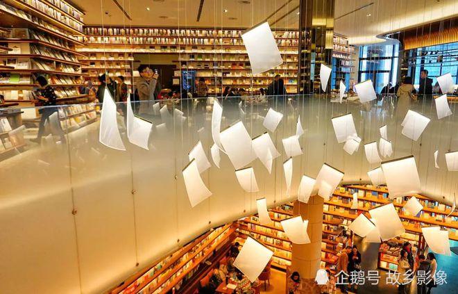 ������Ϲ����߶��� ������Ϲ���˭ ����