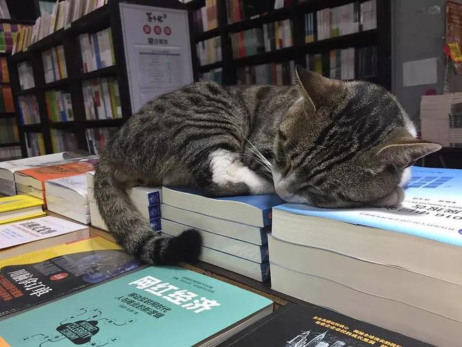 ����ֲ��ѧϰ���� ֲ���֪ʶ����ֲ����