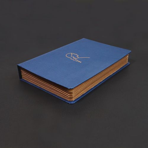 大狮学习方法(狮大大简介) 大狮学习方法(狮大大简介)