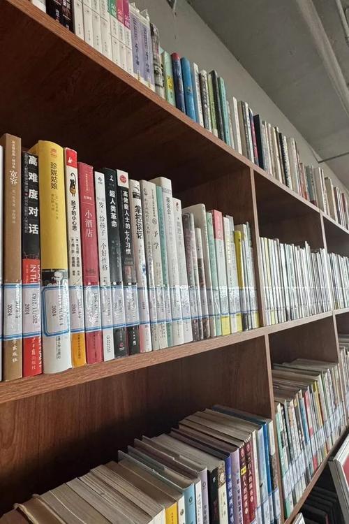 ������Ĺ����ز�-43����ѡ 