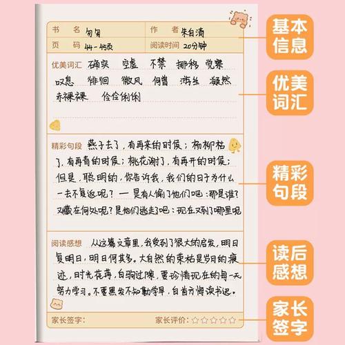 怎么用英文描述学习方法 怎么用英文描述学习方法