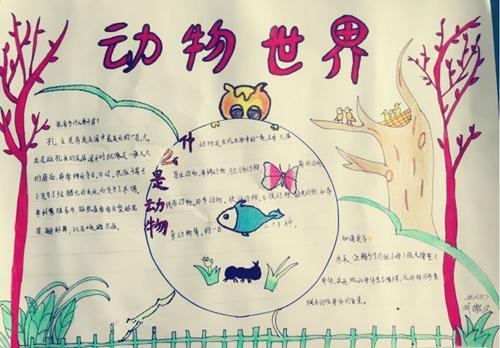 �����������������-41����ѡ 