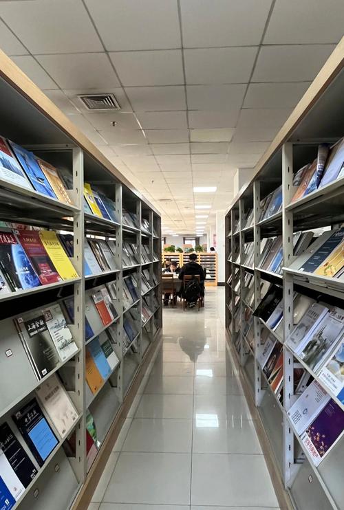 ����İ�����250��