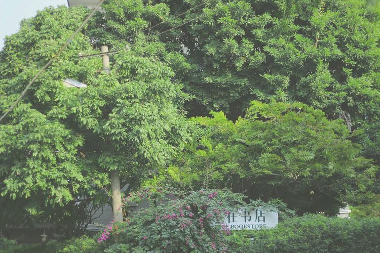 �Ŵ�̫��Ϊ��Ȣ��-���һ��ԭ����������