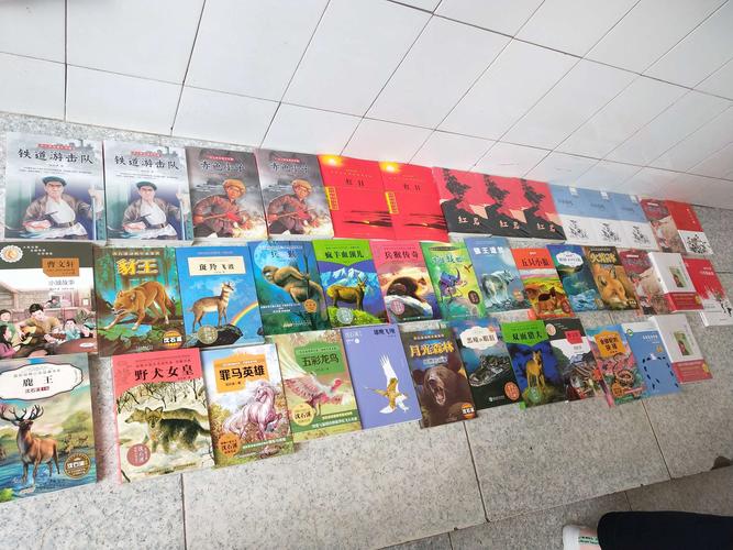 �����������ѧϰ����