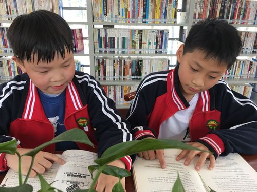 传媒大学在用的学习方法 传媒大学在用的学习方法