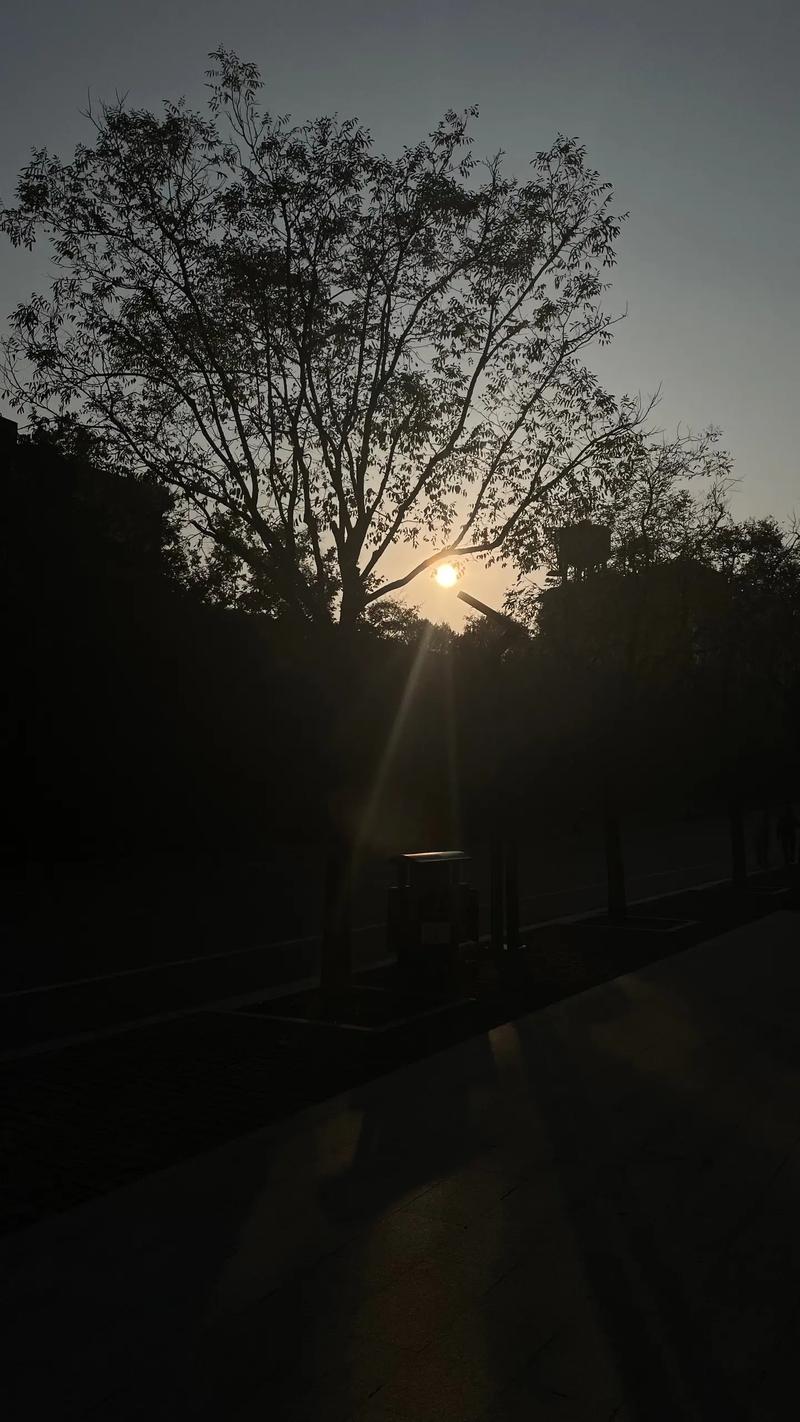 留学马努卡理工学院,到底值不值? 留学马努卡理工学院,到底值不值?