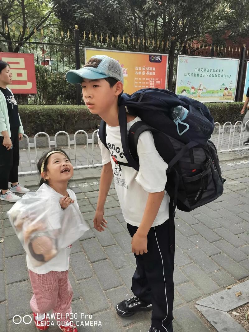 2026���п���ѧ��ϰ֮Ԫ���غ㷨