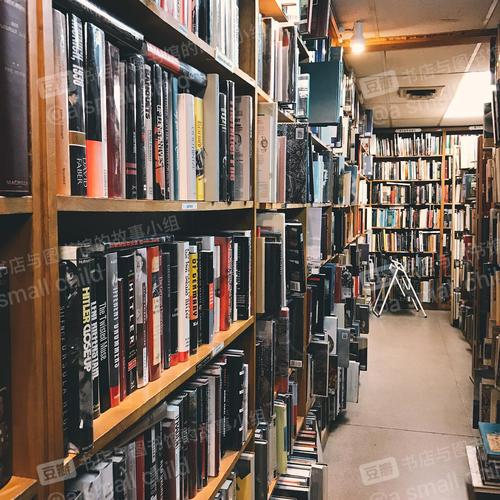 王力宏老婆学历是真的吗 王力宏老婆学历是真的吗