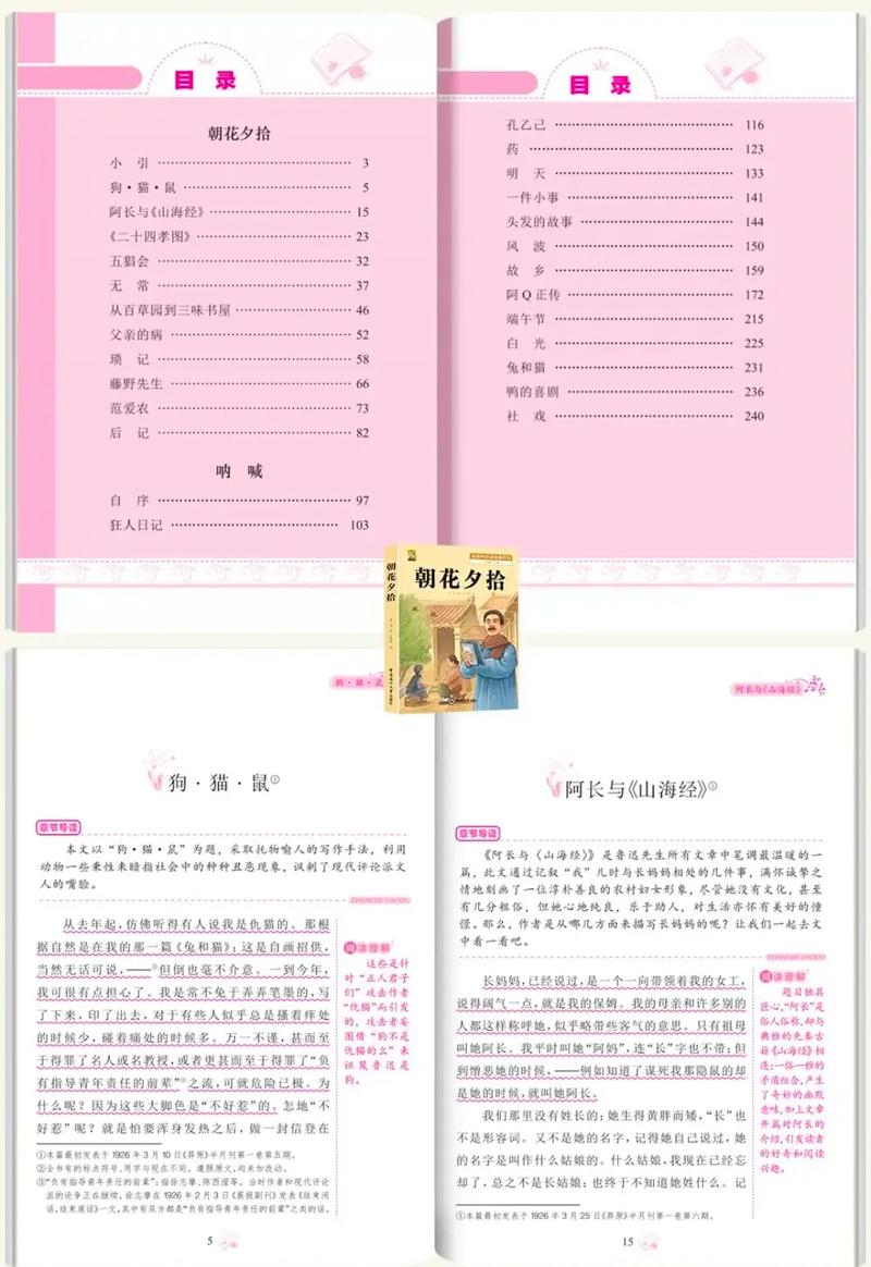 ʮ�굥��ѧϰ����(ѧ��ʮ���Ӣ��)