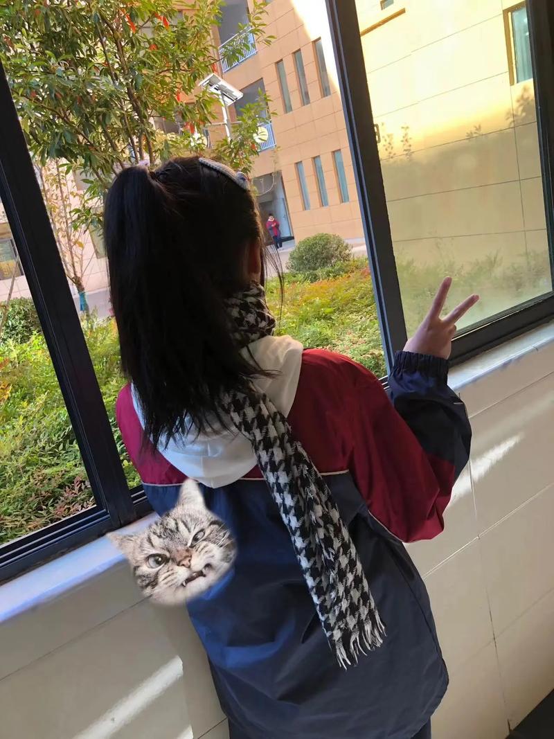 论文选题依据怎么回答方法、要点与实例分析论文选题依据怎么回答问题 论文选题依据怎么回答方法、要点与实例分析论文选题依据怎么回答问题