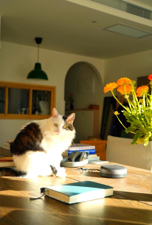 迪肯大学本科能拿到全奖吗? 迪肯大学本科能拿到全奖吗?