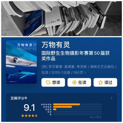 ������ѧϰ�����ͼ���