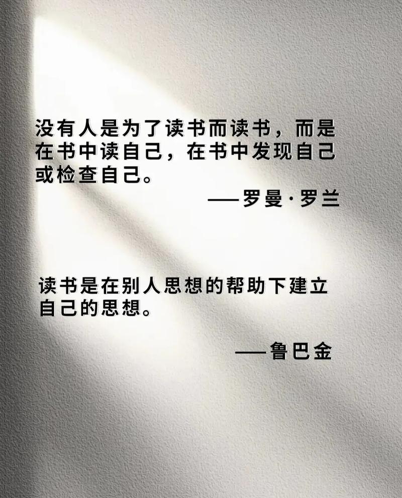 ҹ�������� ������˵��