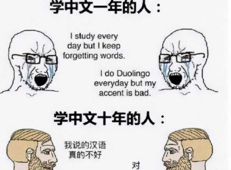 德比大学哪些专业特别牛? 德比大学哪些专业特别牛?